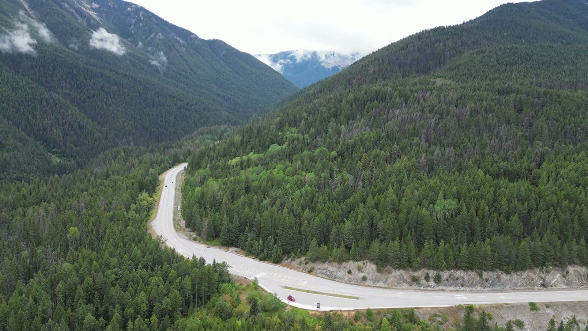 A two-lane highway curving through unbroken conifer forest below Radium Hot Springs, pale gravel along its outside shoulder, the forested wall of the range standing behind it