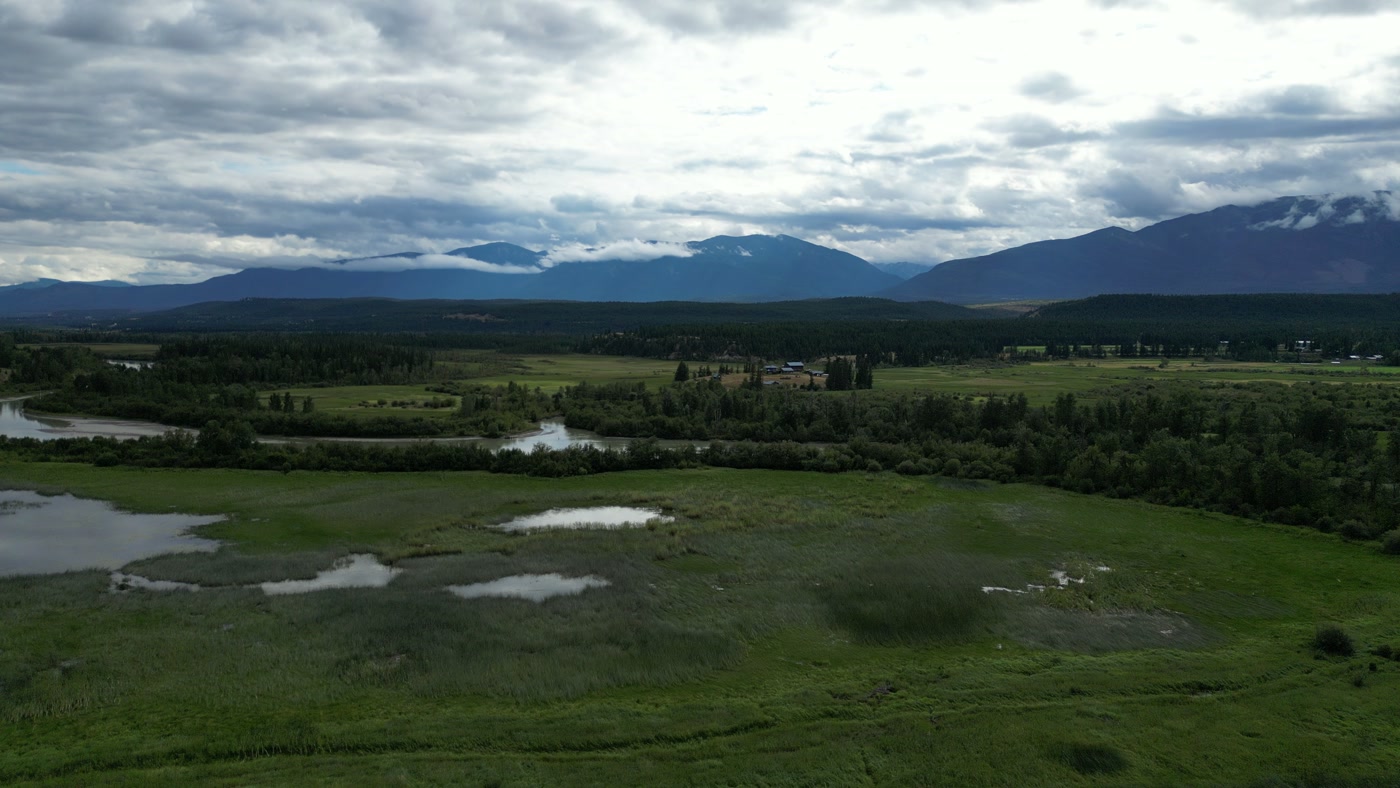 Standing water in the grass of a wet meadow at Radium Hot Springs, the Columbia River's band of cottonwood beyond it, hay fields and a farmstead on the bench, cloud on the far ridge