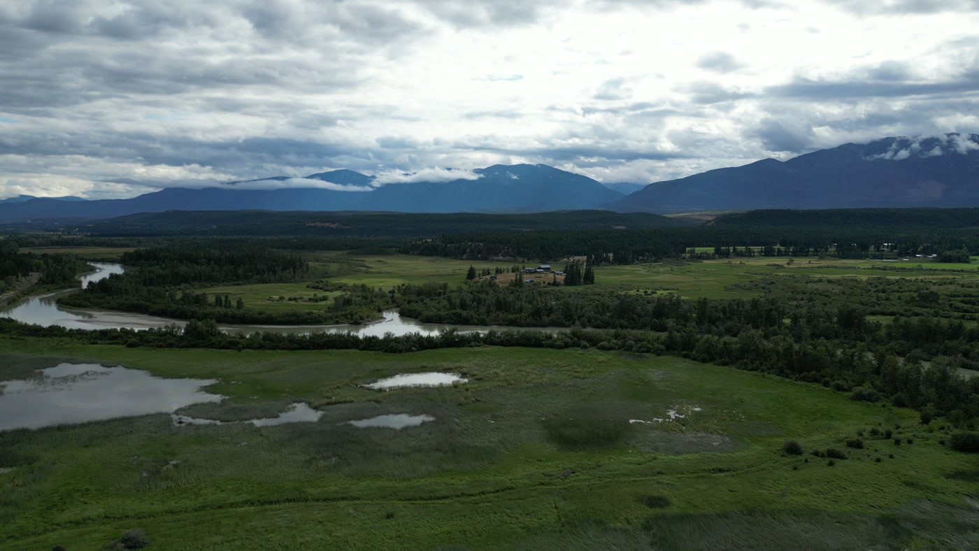 Ponds the river left in the meadow below Radium Hot Springs, seen from a little higher: grass, sheets of water, the tree line and the ranges under cloud
