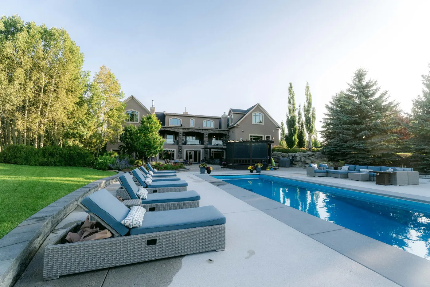 Loungers along a backyard pool with houses and evergreens behind