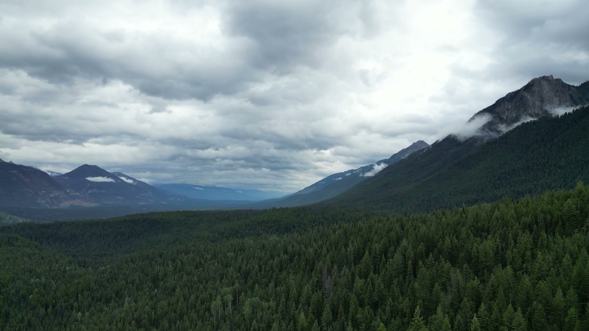 Drifting over an unbroken conifer canopy on the valley wall at Radium Hot Springs, at half speed: cloud caught halfway up a grey rock buttress on the right, ridges falling away to the left, and the Columbia valley opening into flat blue distance