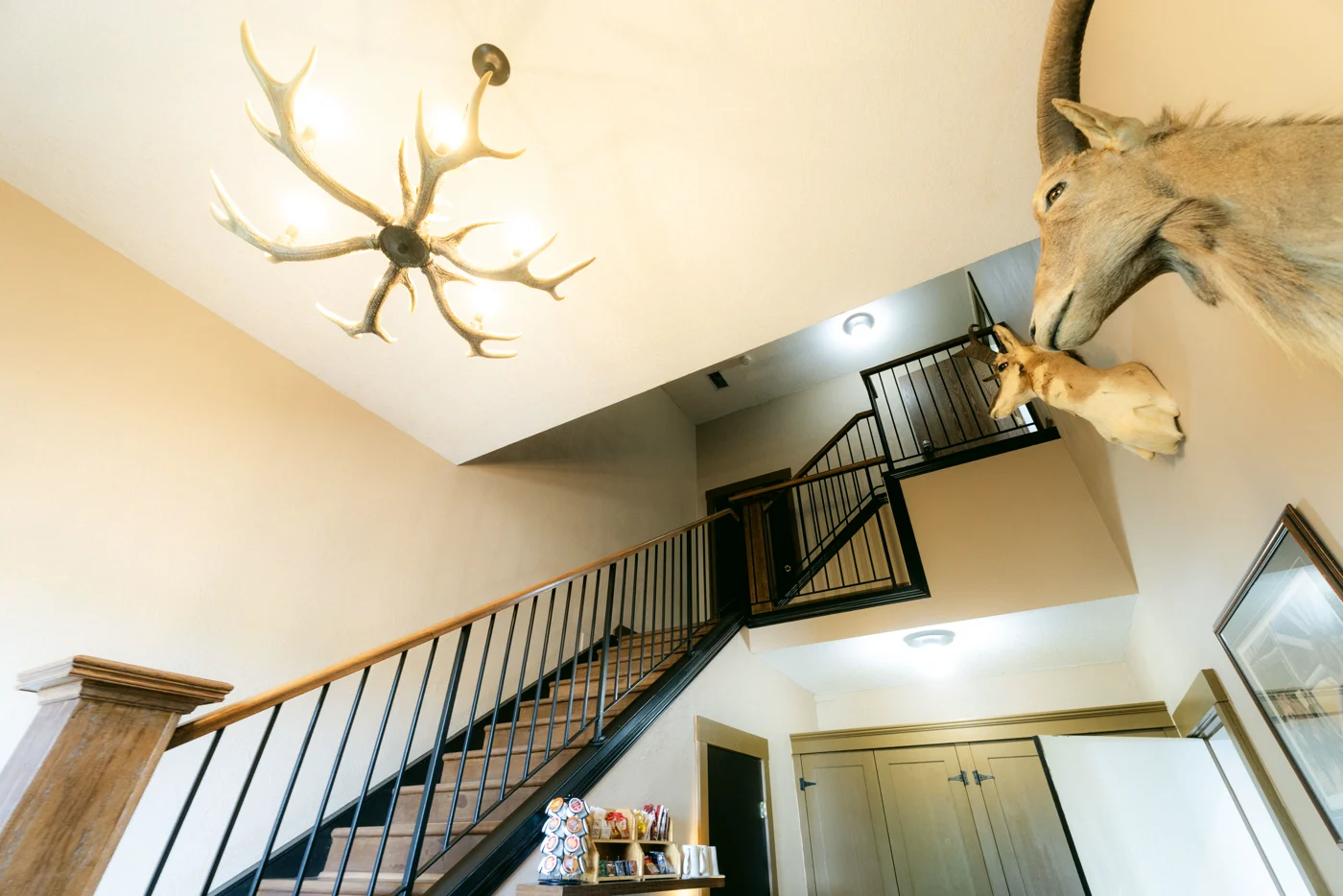 An antler chandelier and a mounted animal head above a lodge staircase