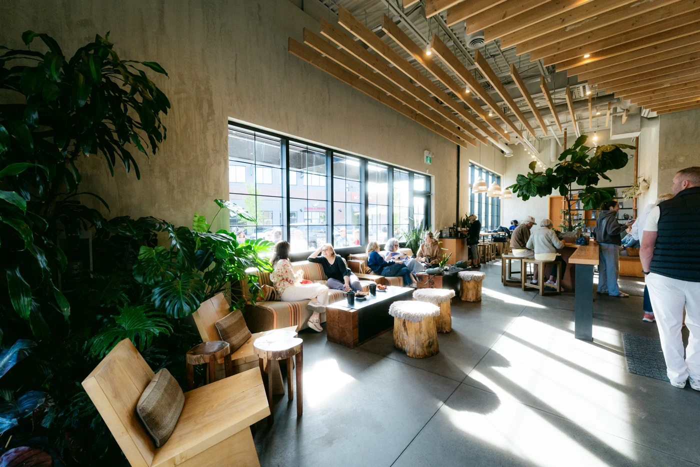A café lounge in morning sun: timber ceiling, big plants, wood-and-cushion seating and people at the far tables