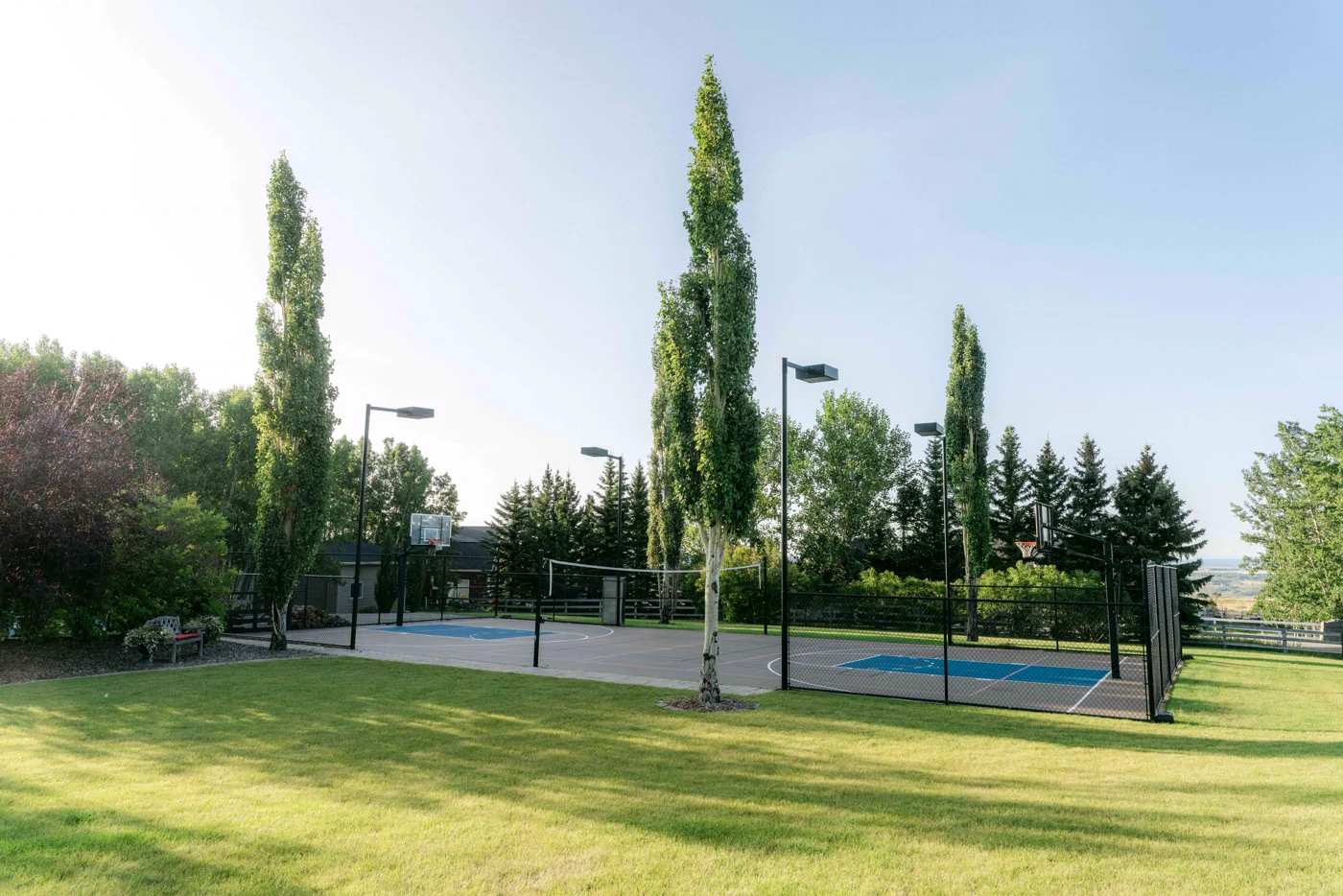 A fenced sport court beyond a lawn, tall poplars behind it