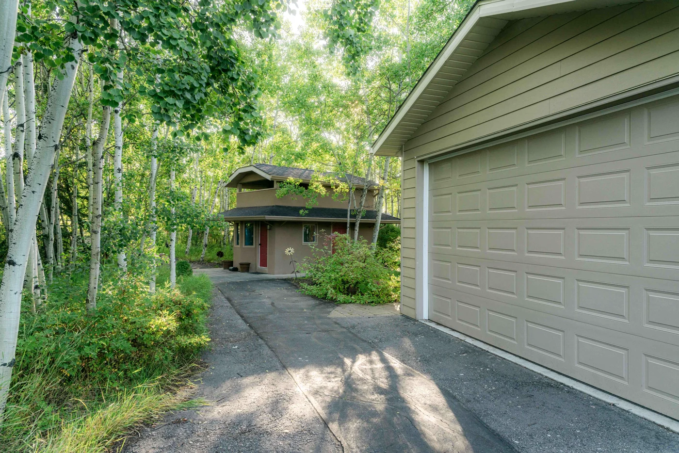 A driveway to a garage among aspen trees, a house beyond