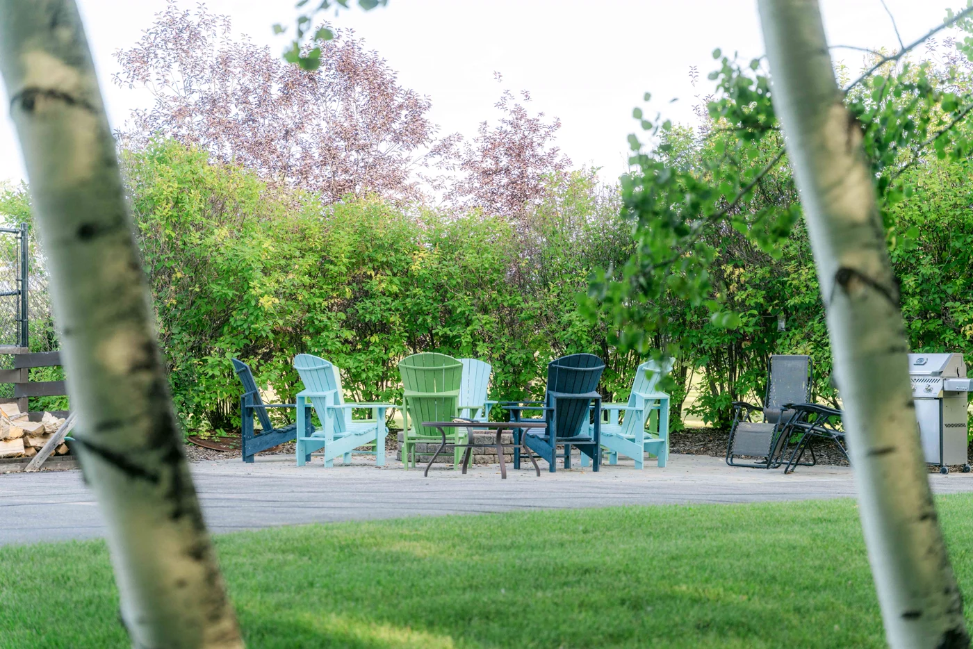 Adirondack chairs around a fire pit seen between aspen trunks