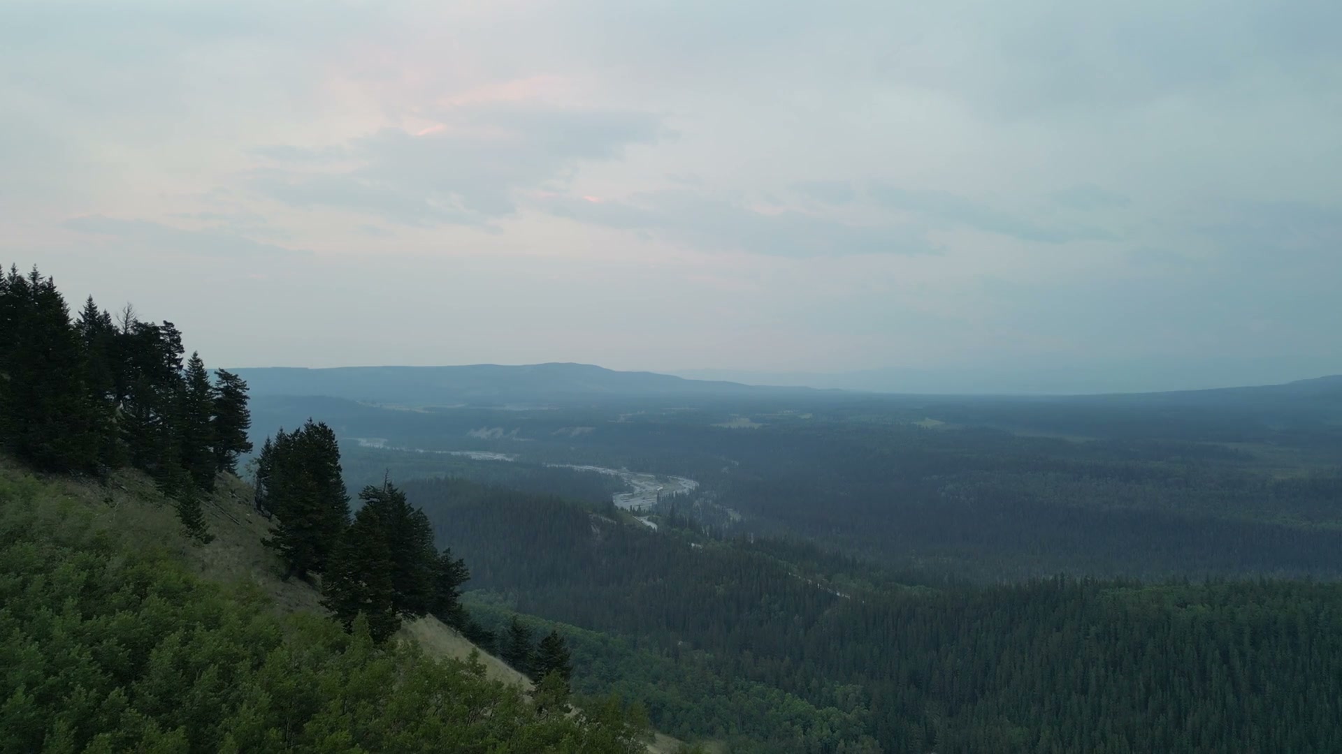 Flying along a spruce-lined ridge at half speed, the forested valley and its braided river below, lower ridges fading into haze beyond it under a pale dawn sky