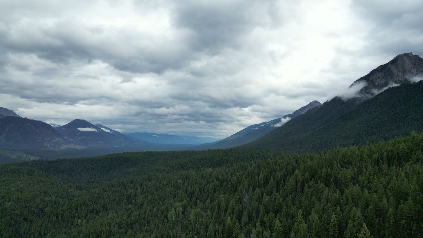 Cloud caught halfway up a grey rock buttress above the forest at Radium Hot Springs, the summit standing dark against a sheet of overcast
