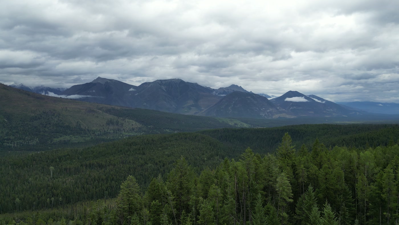The far wall of the Columbia valley at Radium Hot Springs under a textured overcast, forest in the foreground falling away toward the valley floor