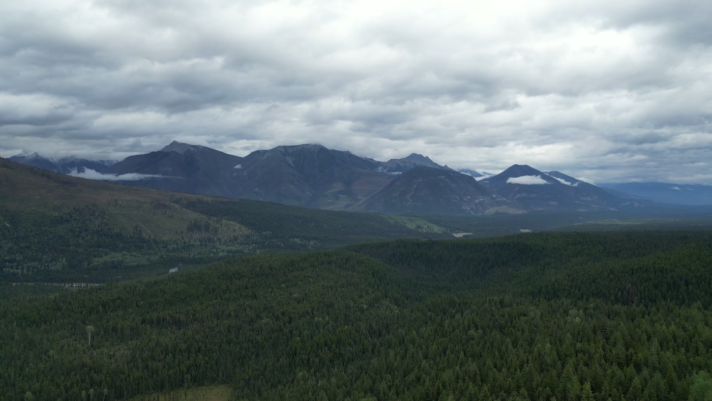 Dark unbroken conifer forest at Radium Hot Springs running out to a range of mountains standing under heavy cloud