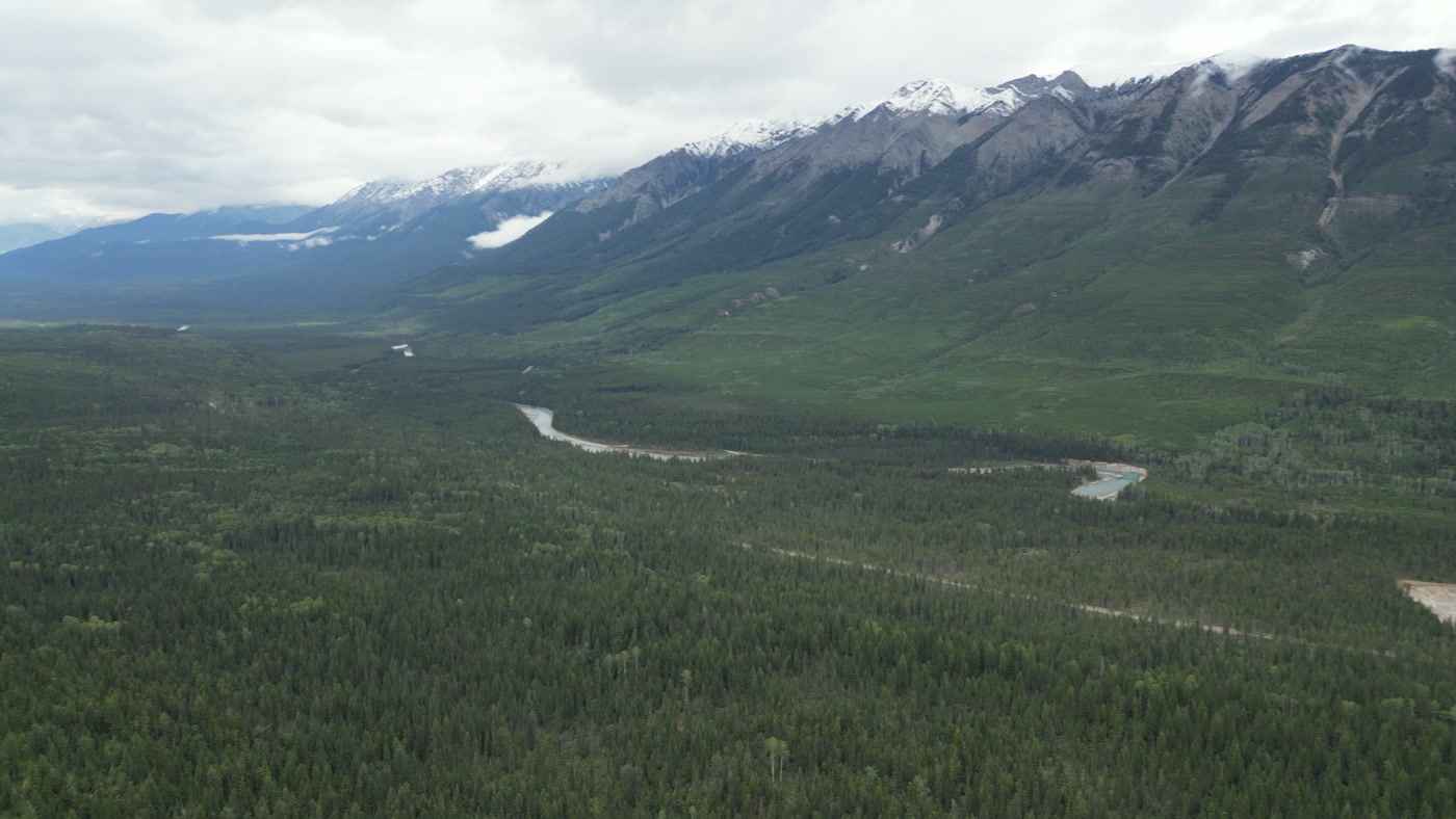 A snow-dusted summit ridge above Radium Hot Springs seen across the forested valley floor, scree chutes on its face, conifer forest running up to treeline