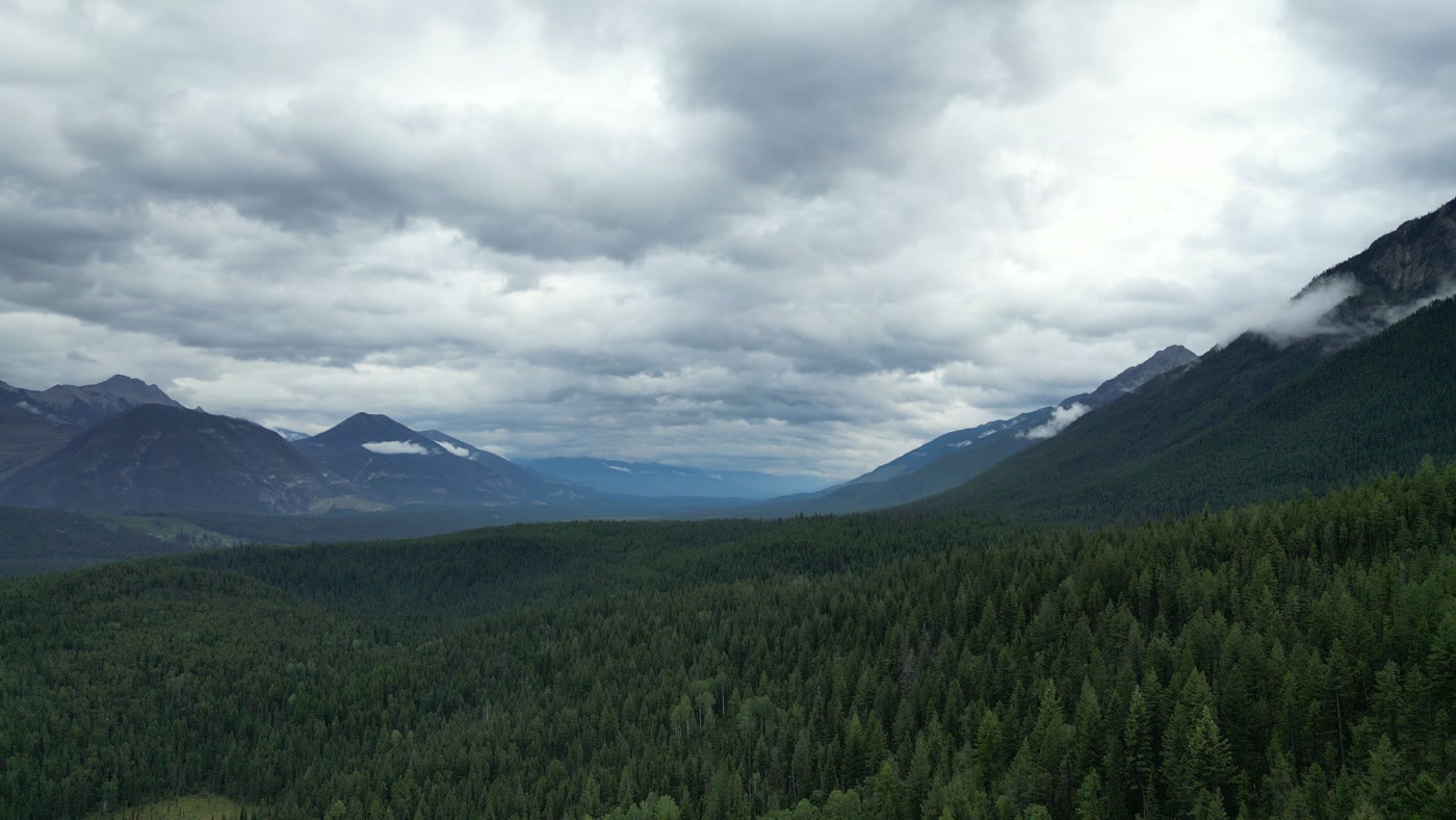 The Rocky Mountain Trench opening out beyond a conifer canopy at Radium Hot Springs: ridges on both sides falling away into flat blue distance under cloud
