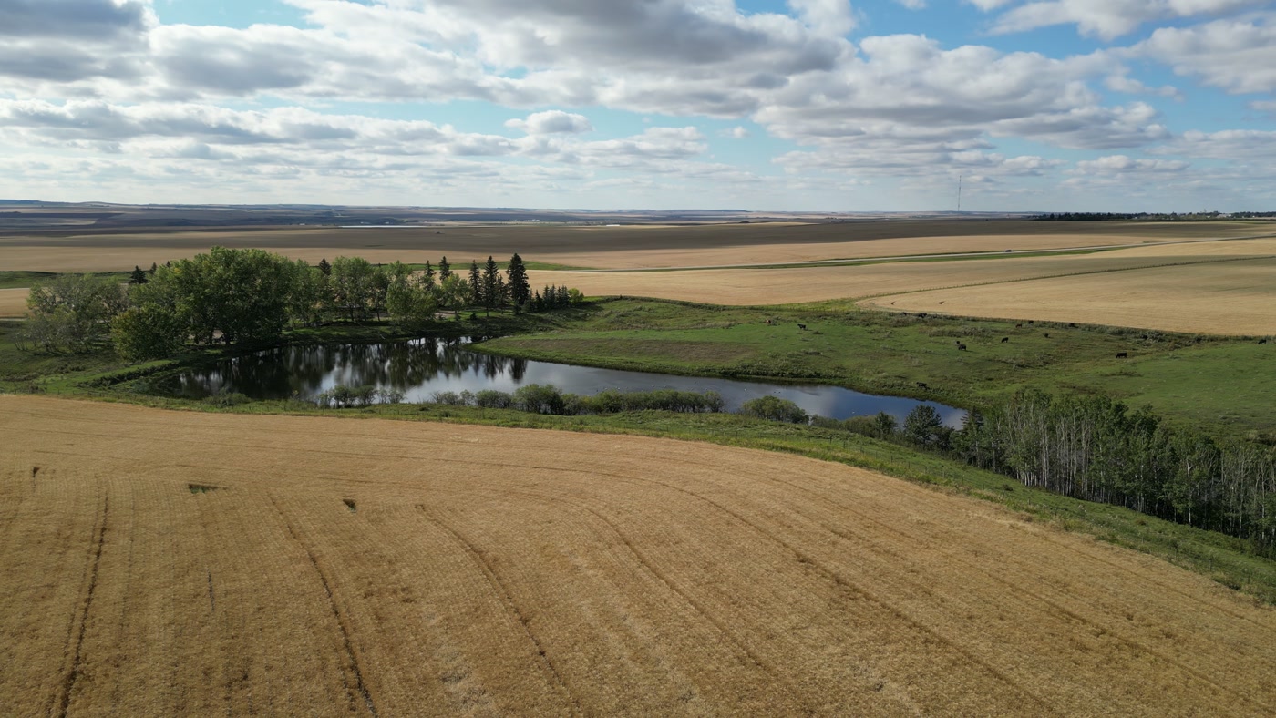 The prairie horizon from a farm: pale stubble and dark worked ground in broad strips, rolling upland beyond them, cumulus standing over all of it