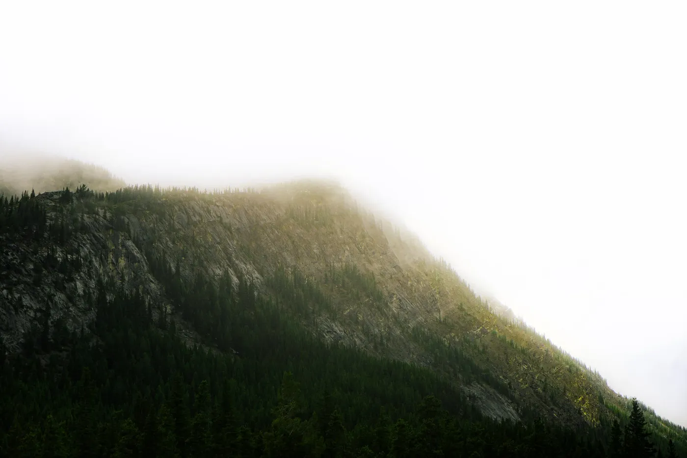 Mist pouring over a forested mountain ridge in flat white light