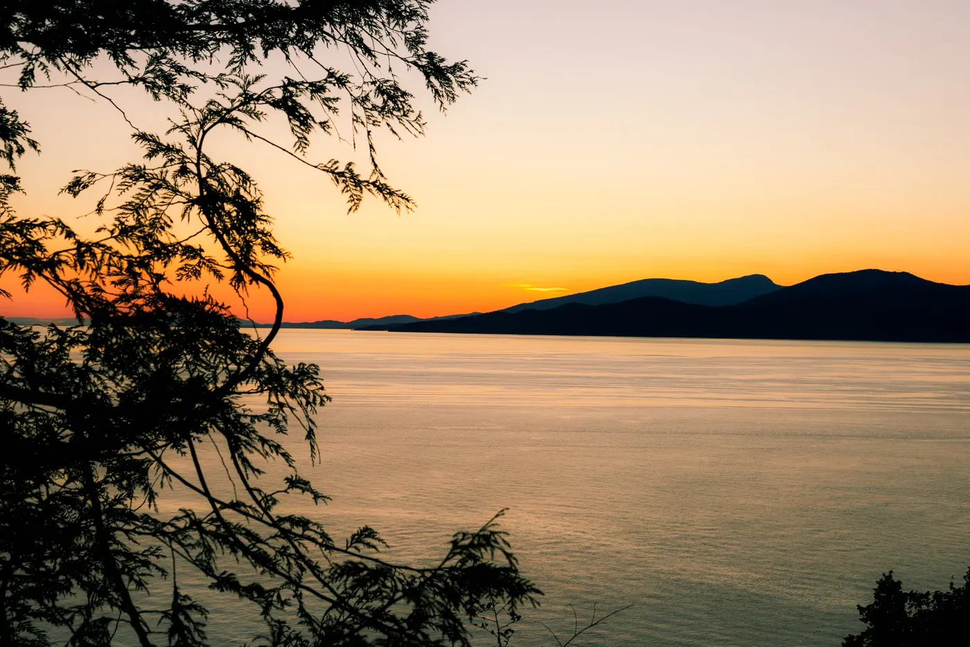 A headland across still water at dusk, branches silhouetted in the foreground