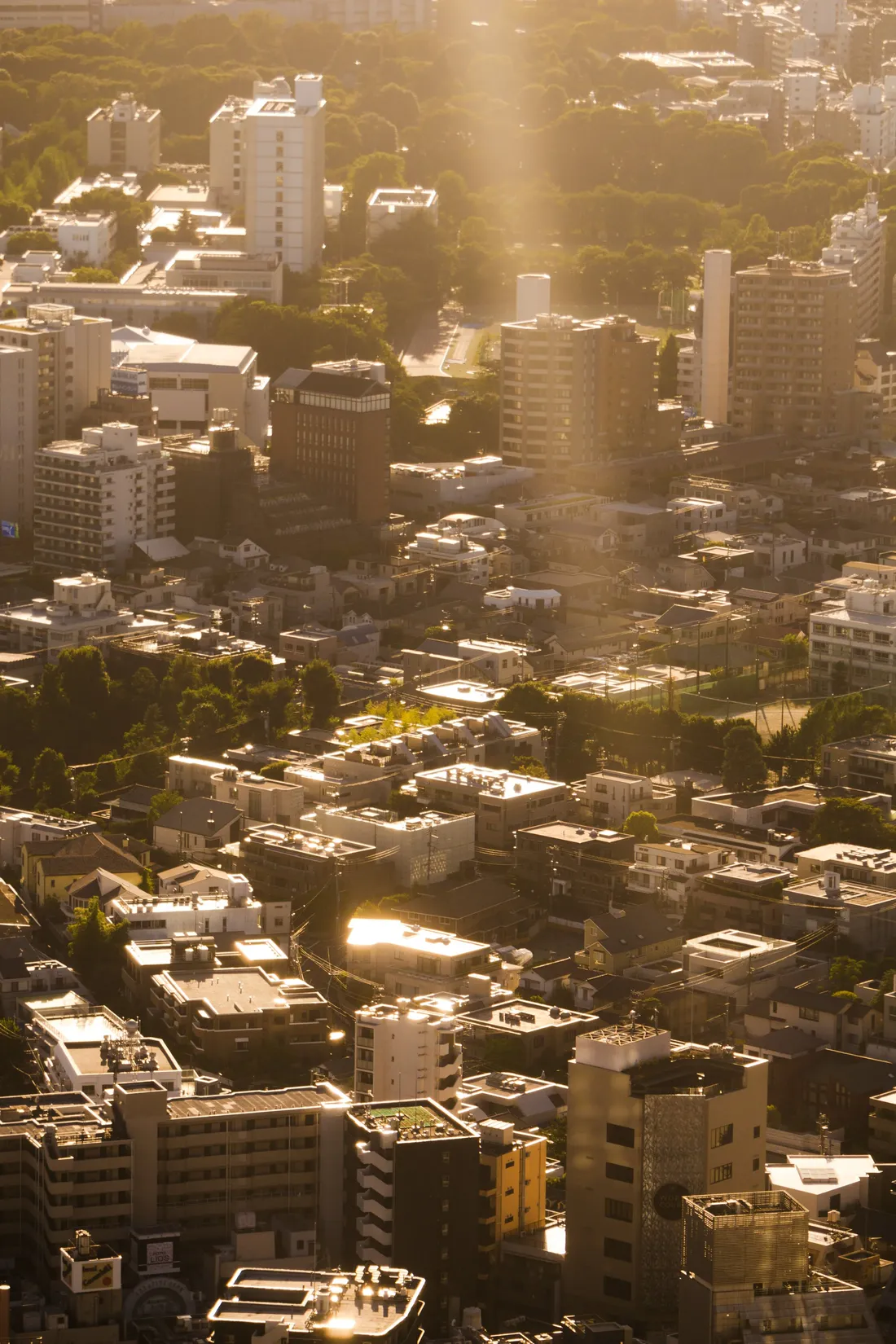 Dense city rooftops flattened under a wash of low sun haze