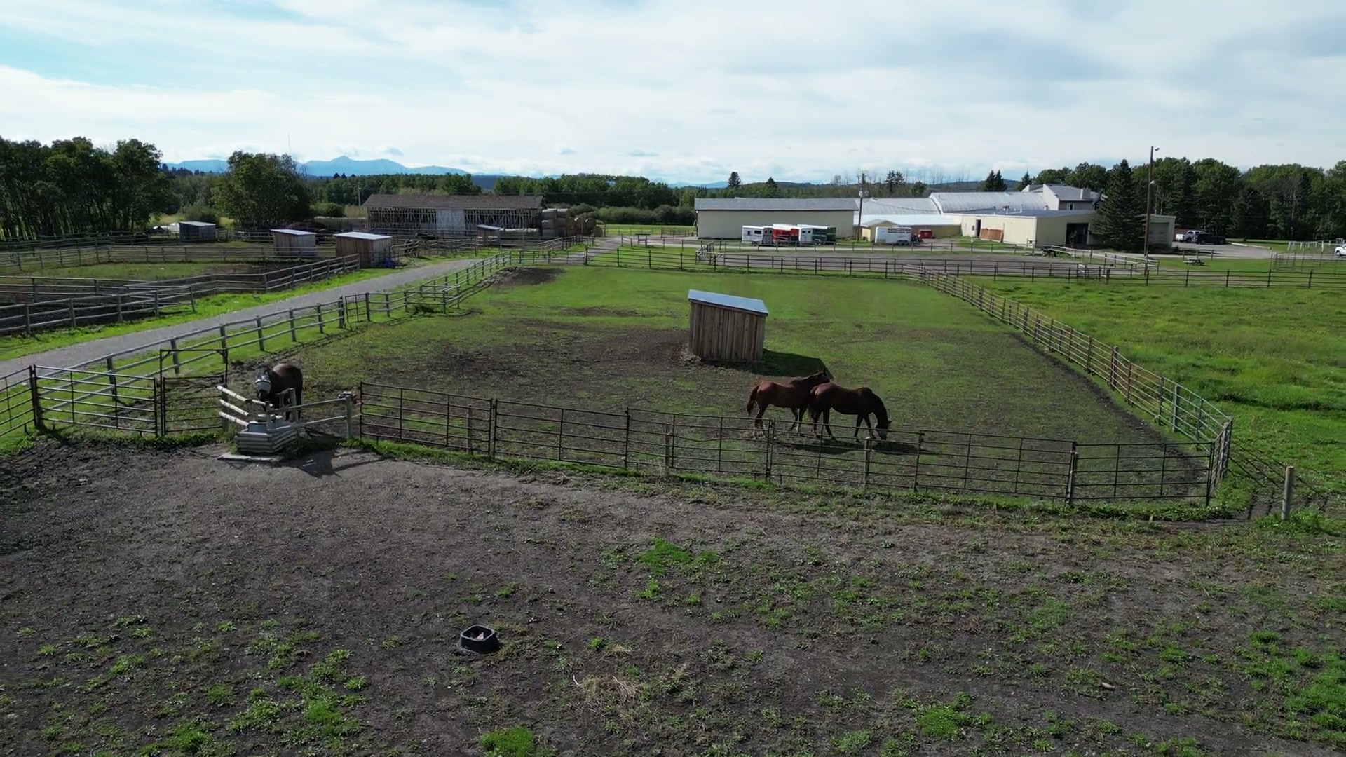 Horses in a fenced paddock at Shire Ridge Ranch near Bragg Creek, one of them grazing, the camera turning away over the lane and more paddocks to the white barns and the mountains