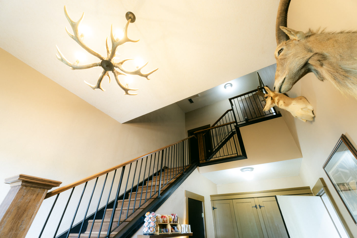 Looking up in the breakfast area of Shire Ridge Lodge near Bragg Creek: an antler chandelier, a mounted head with curled horns, and the black-railed staircase climbing to the upper floor