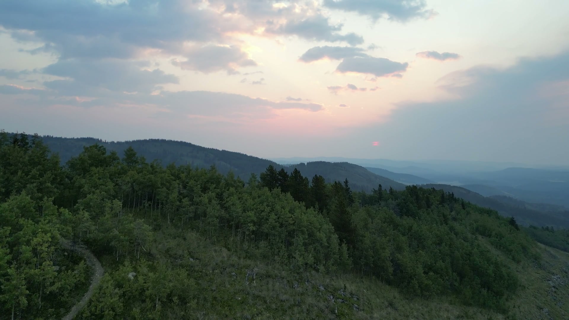 Following a footpath worn through the grass up a ridge toward aspen and spruce, at half speed, pink light glowing behind the cloud