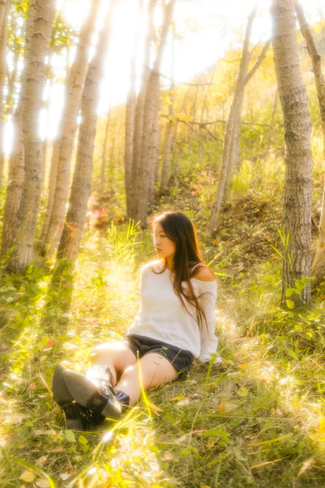 A woman sitting in tall sunlit grass among slender trees