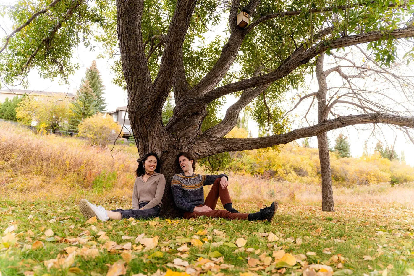 Two people sitting on a blanket beneath a wide old tree in autumn leaf litter