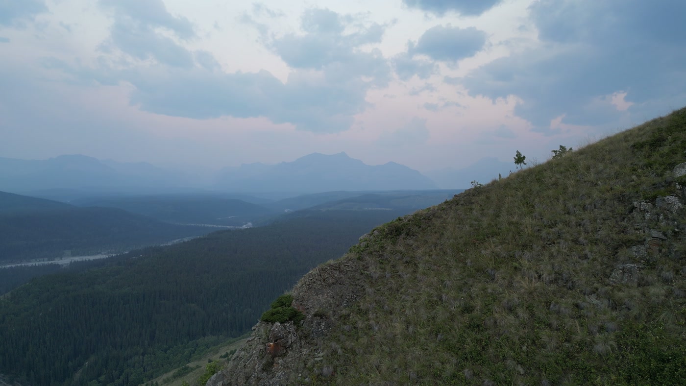 The grass crest of the summit at dawn, a rock outcrop along its edge and two small pines on top, the valley and the mountains of the Alberta foothills beyond