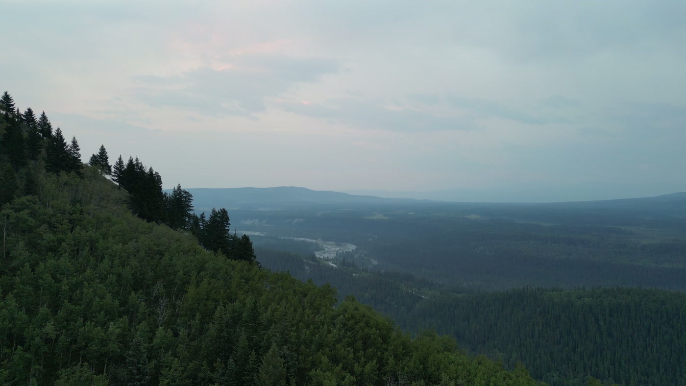 Spruce along a ridge line in the Alberta foothills, the slope below green with aspen, a river with pale gravel bars winding through the forested valley toward a hazy horizon