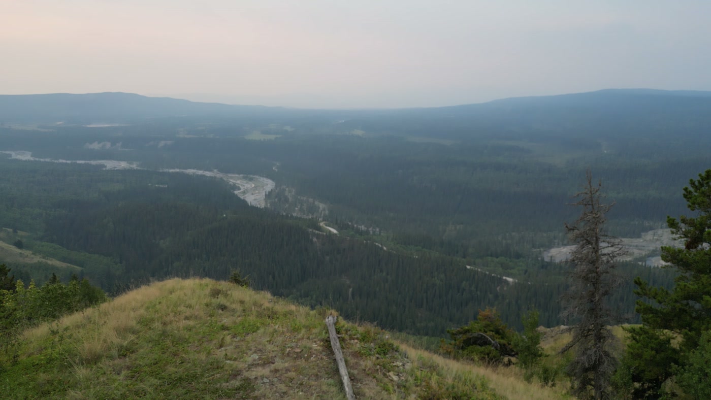 The grass summit from a few metres up, a weathered wooden post lying in the grass, pines at its edge and the braided river in the valley beyond