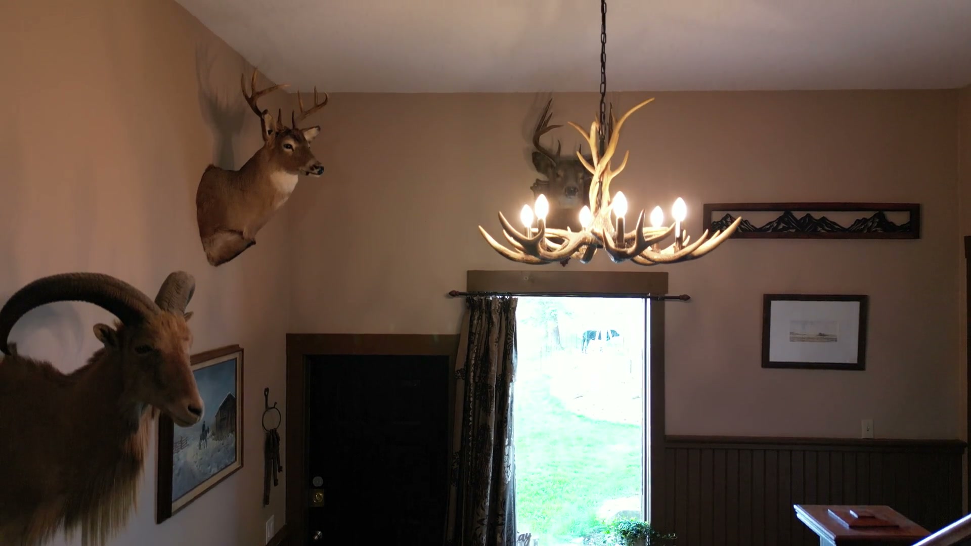 Inside Shire Ridge Lodge near Bragg Creek, rising from the stairs and a small table past mounted heads toward an antler chandelier hung before a curtained window beside a dark door