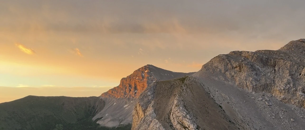 Alpenglow catching a distant limestone summit above a pale rock ridge, seen across an alpine meadow of grass and pink wildflowers at sunset