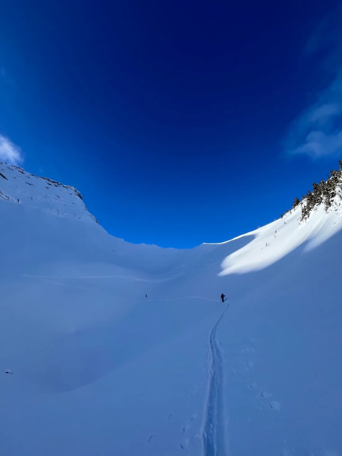 A single skin track curving up an untouched snow bowl toward a corniced col, two small ski tourers ahead under a deep blue sky