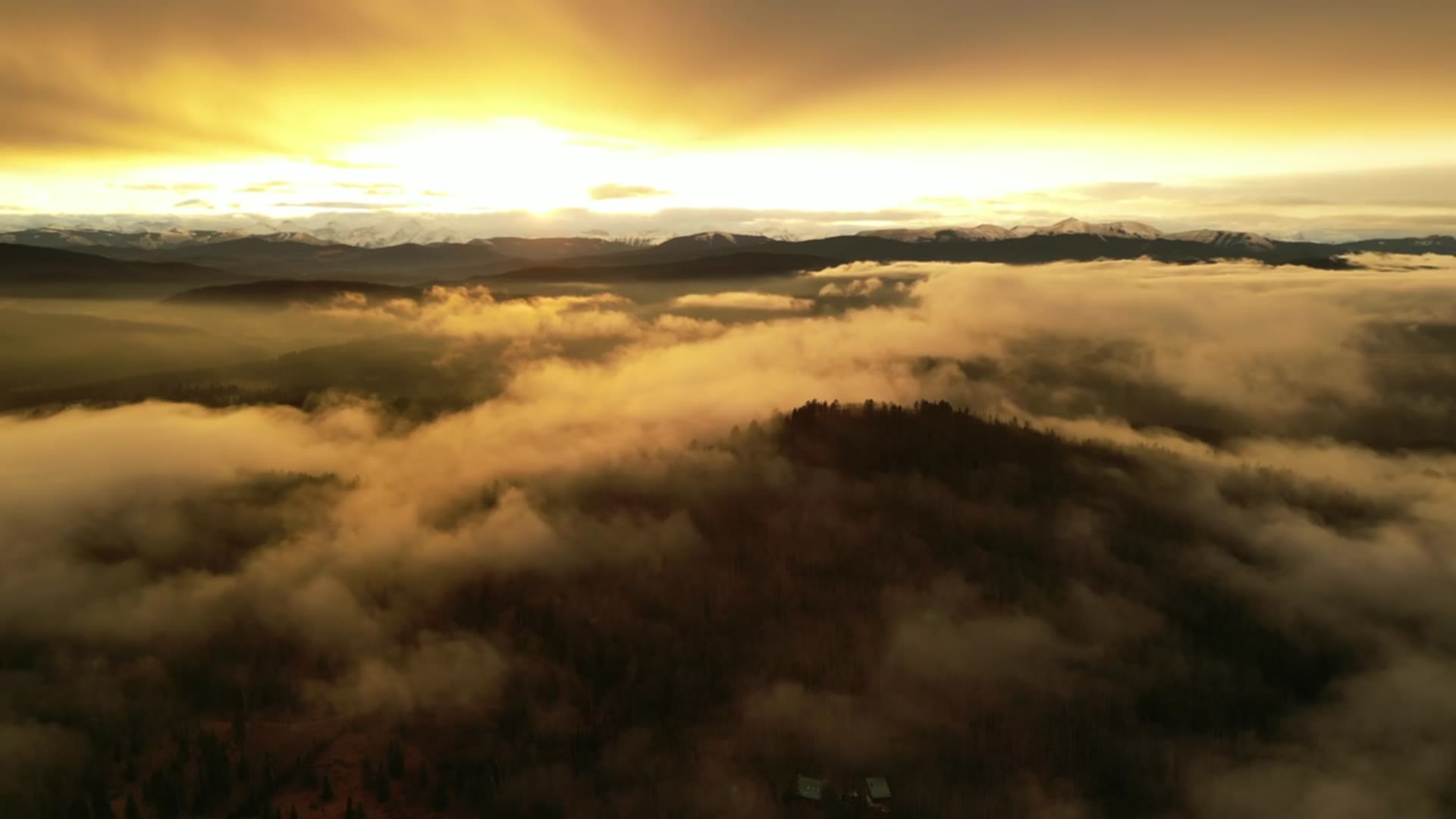 Aerial above a low cloud layer at sunrise, forested ridges breaking through the mist with the Rockies along the horizon